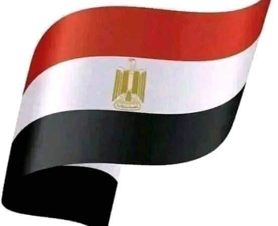 مصر الوطن